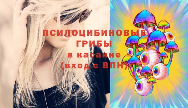 дурь Нягань