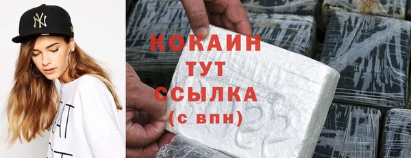 дмт Няндома