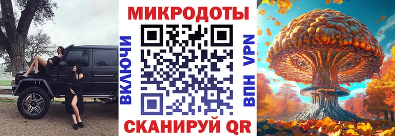 Галлюциногенные грибы Psilocybe Прокопьевск