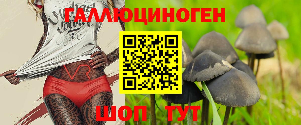 Псилоцибиновые грибы Psilocybe Прокопьевск